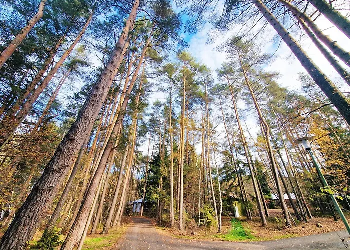 Bungalow Direkt Am See, Mit Eigenem Boot