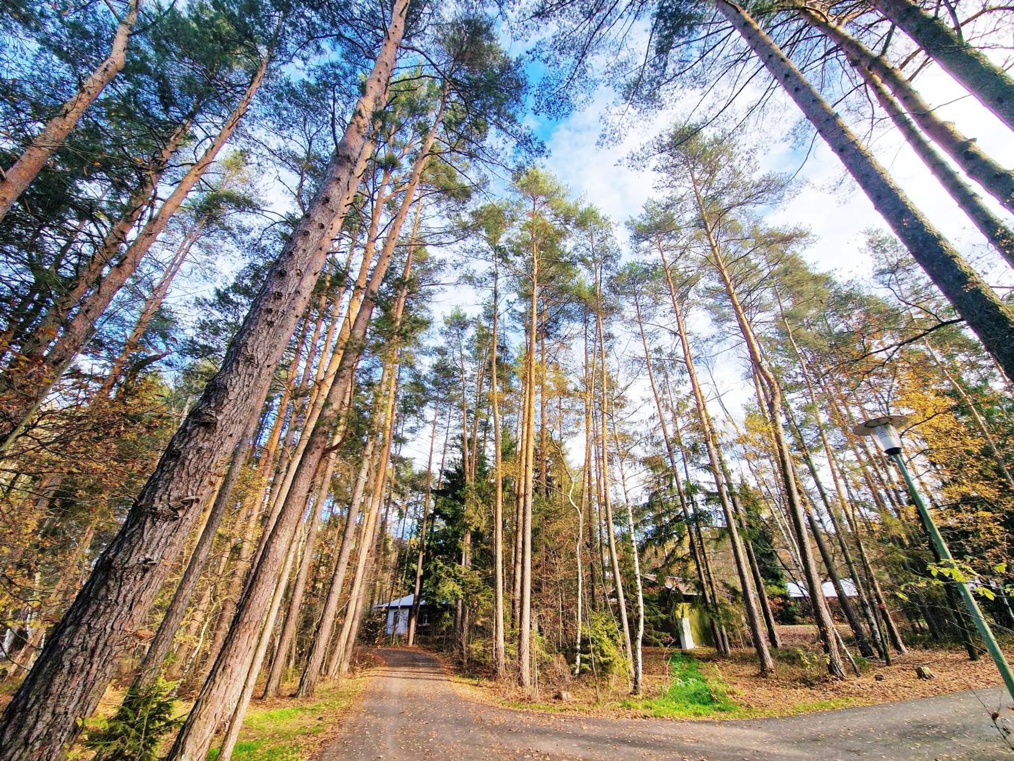 Direkt Am See, Mit Eigenem Boot Holiday home Roding