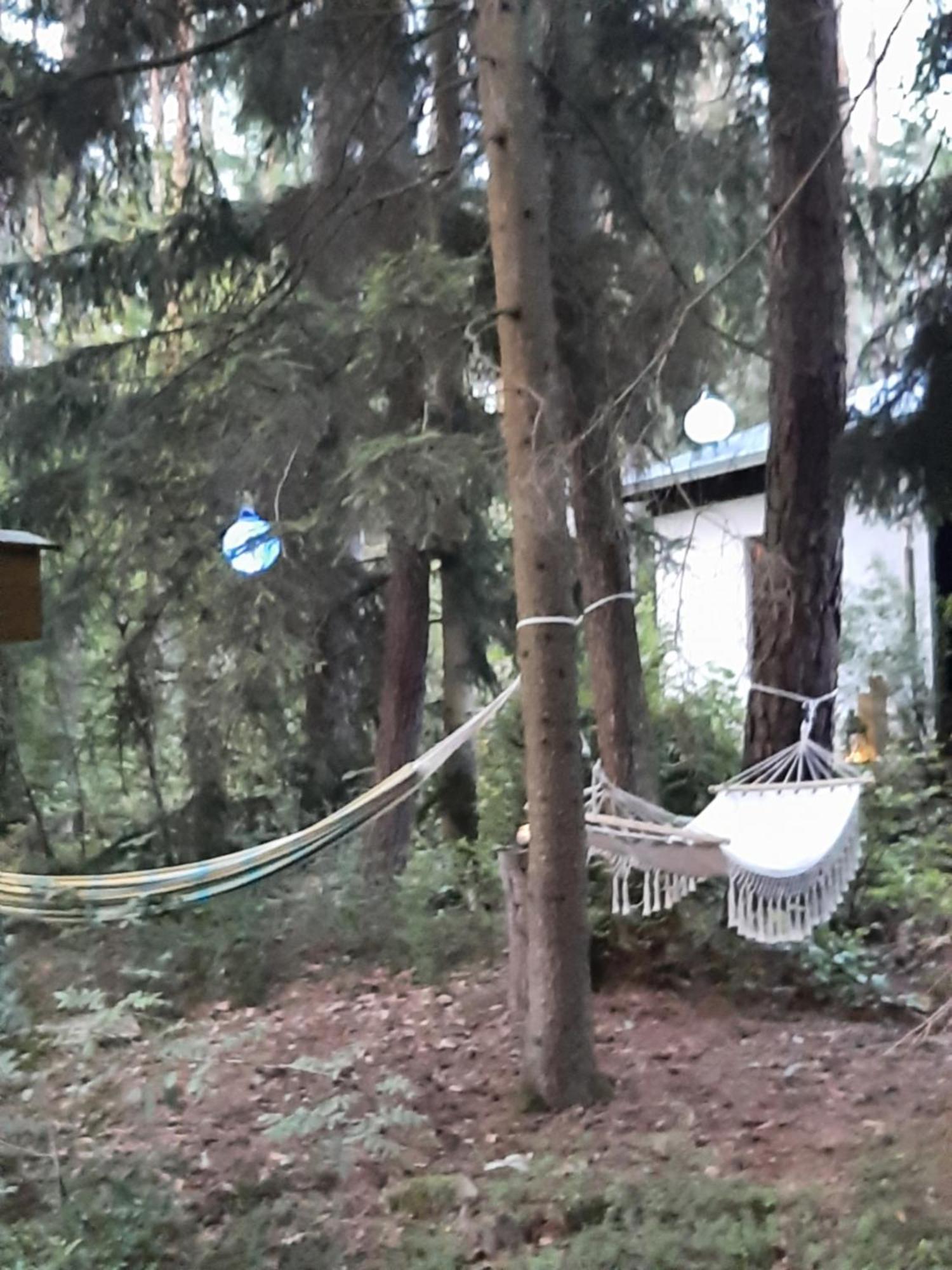 Direkt Am See, Mit Eigenem Boot *